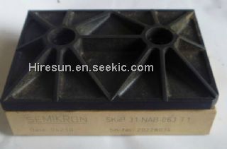 SKIIP31NAB063T1 Picture