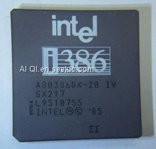 A80386DX-20 Picture