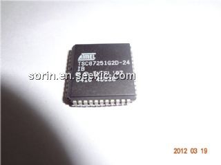 TSC87251G2D-24IB Picture
